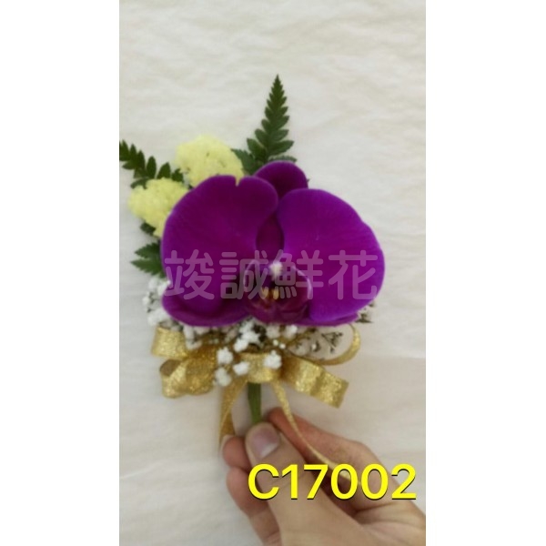 C17002