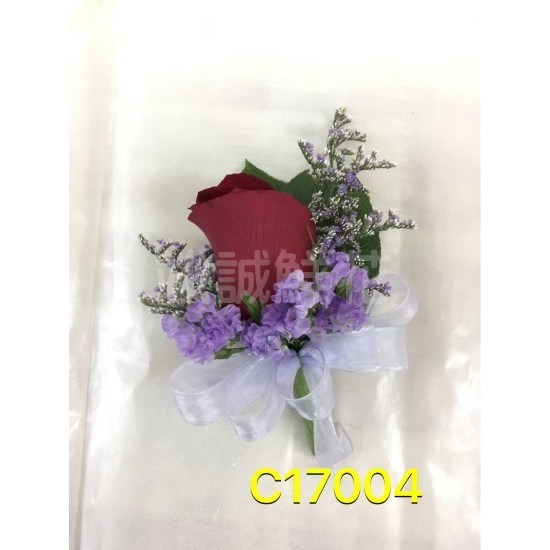 C17004