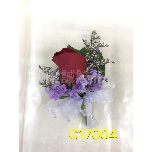 C17004