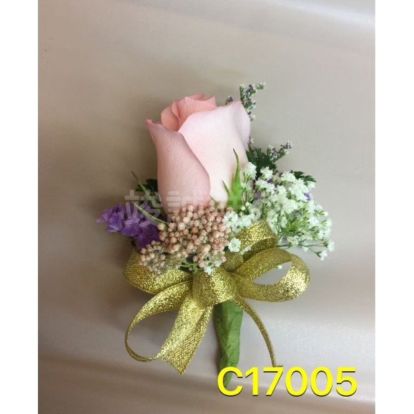 C17005