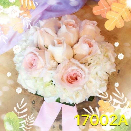 17002A
