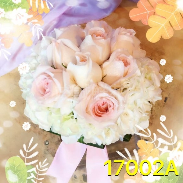 17002A